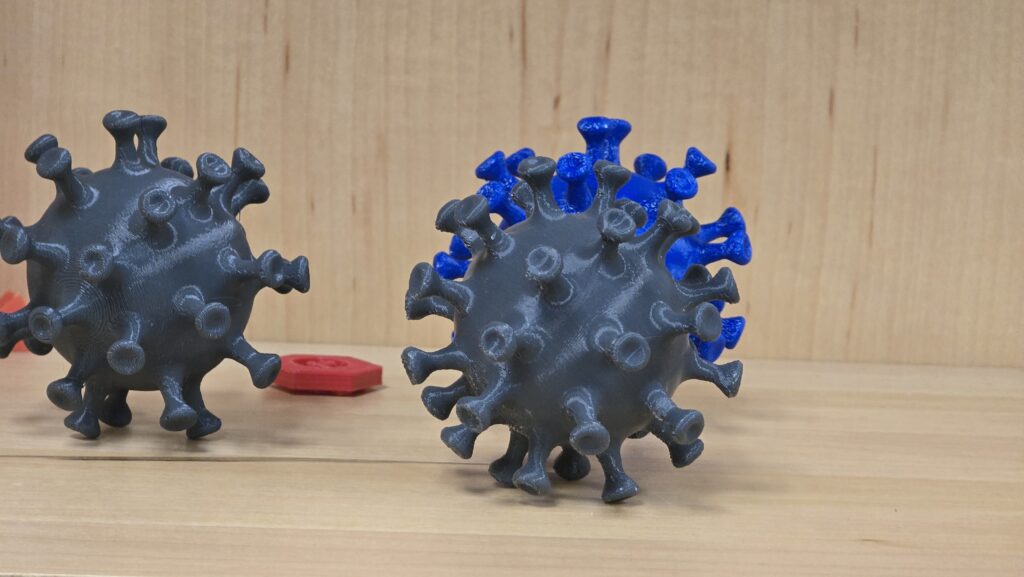 3D-printed models of virus particles displayed on a wooden surface. Two dark gray spherical models with protruding spike-like structures are in the foreground, resembling representations of a coronavirus. A third model in the background is a vibrant blue, partially obscured by the gray models